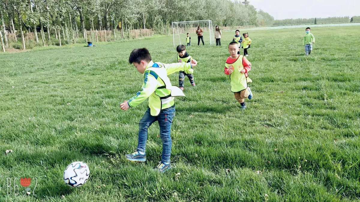 大守八云强不强_大守八云是什么级别_大守八云