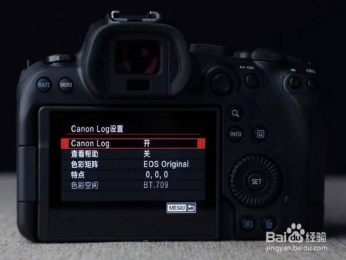 佳能单反相机哪个型号好_佳能单反相机哪个型号最好_佳能单反买哪款
