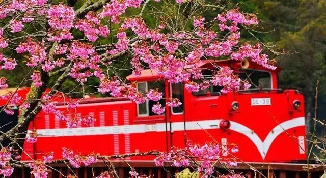 青森山田高中_青森_青森山田