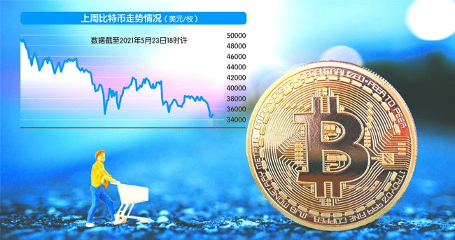 马斯克说shib可以涨到一美元_马斯克1美元_马斯克暴涨