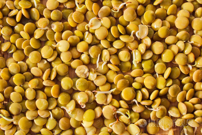bean生命周期_生命的周期性_生命周期仆人