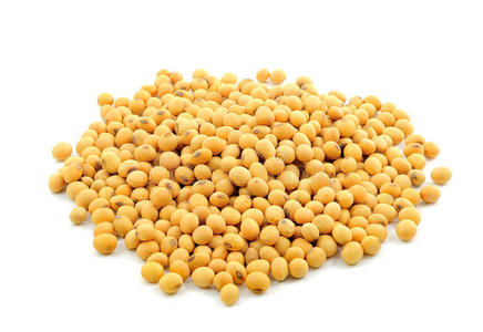 bean生命周期_生命周期仆人_生命的周期性