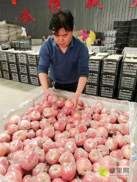 苹果13实体店多少钱_苹果实体店收现金吗_苹果店现金