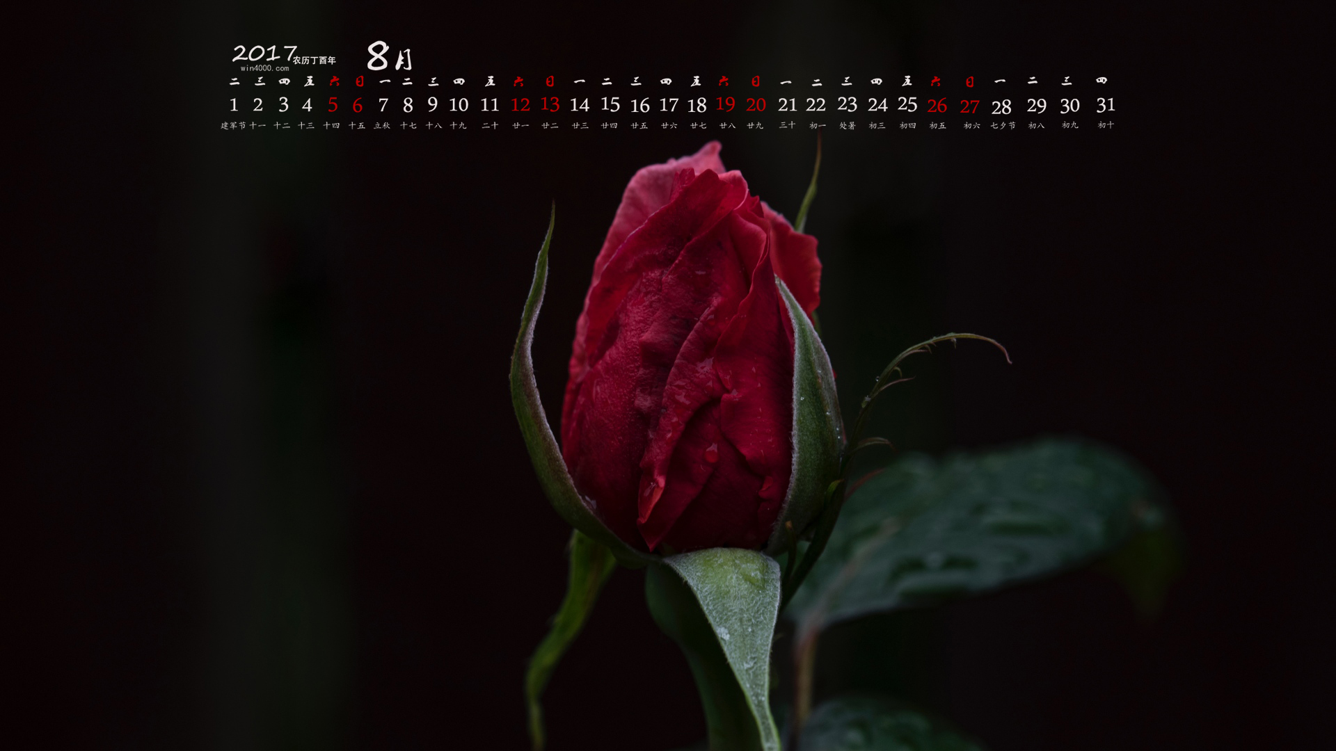 5月份日历_日历月份怎么分大小_日历月份天数规律