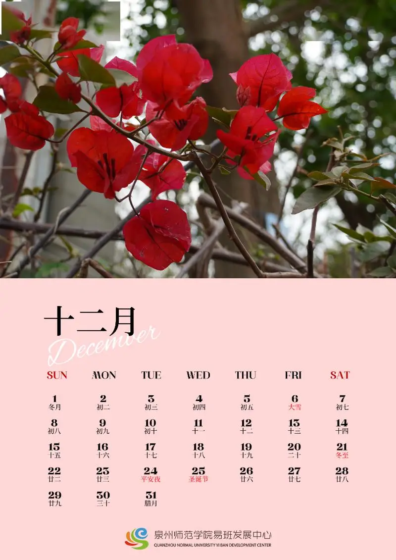 日历年表_1994年日历_日历年度