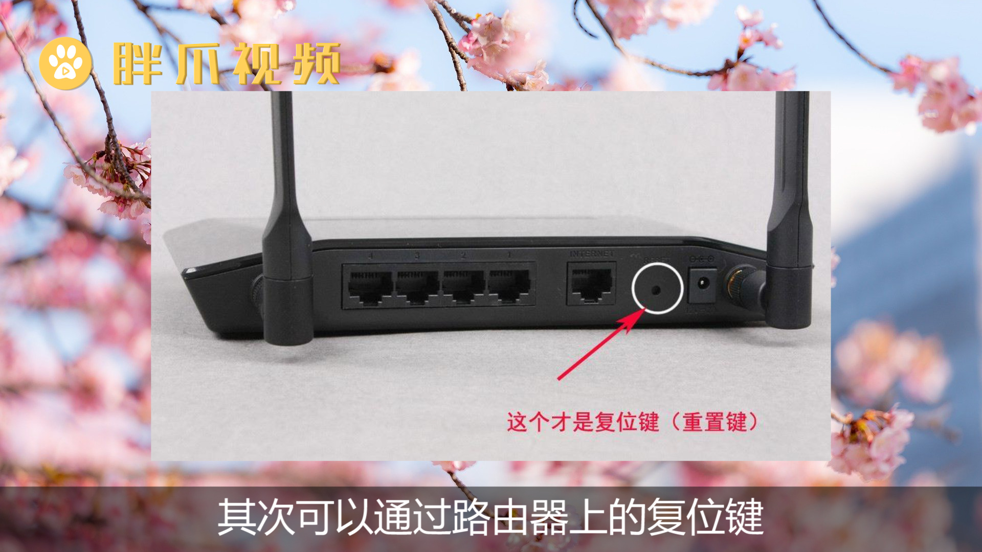 重置器路由设置教程_重置路由器怎么设置_重置路由器是什么意思