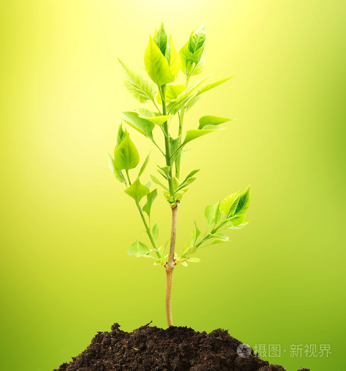 图种吧里区吧_图种_里番图种