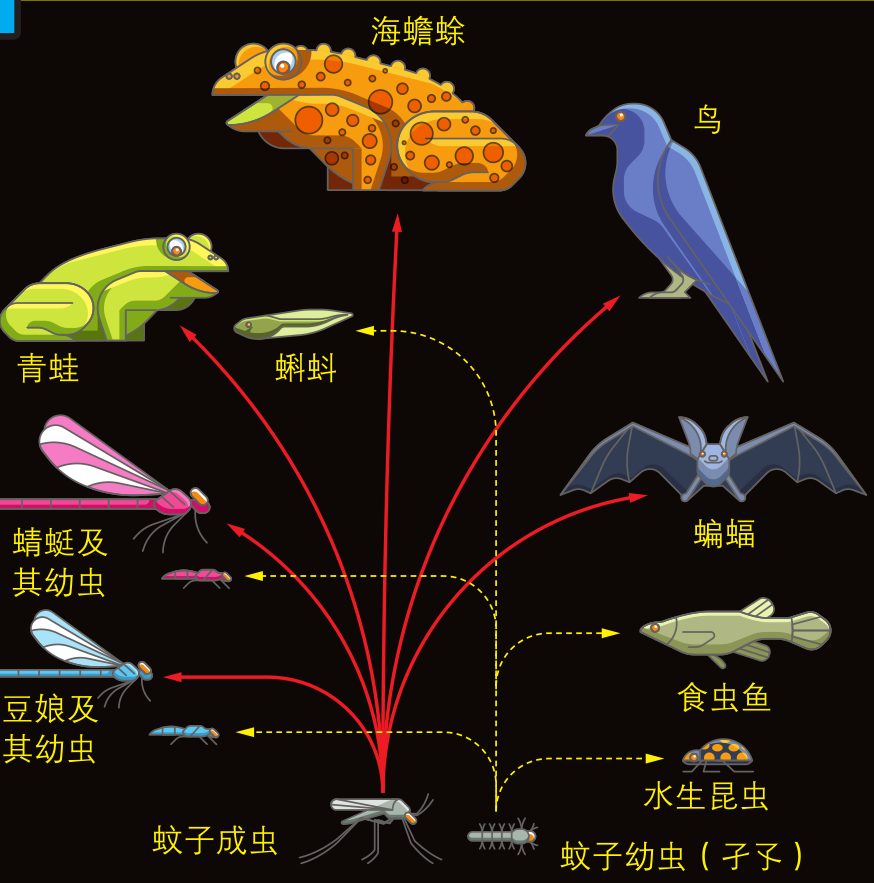 地球三大生态系统-探索地球生态系统：陆地、海洋、淡水，三大生
