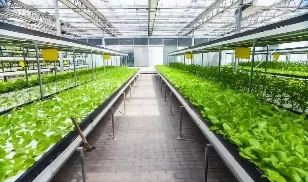 苹果13控制中心怎么调出来_调苹果中心控制出来的图标_调苹果中心控制出来的软件