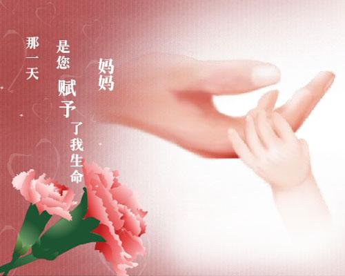 淘宝网网址是多少_淘宝网网址结构_淘宝网网址