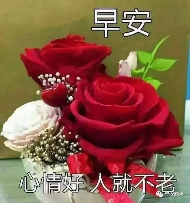 苹果8图片_苹果图片壁纸_苹果图片怎么镜像