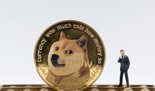 狗狗币买_狗狗币买了多久到账_狗狗币去哪里买