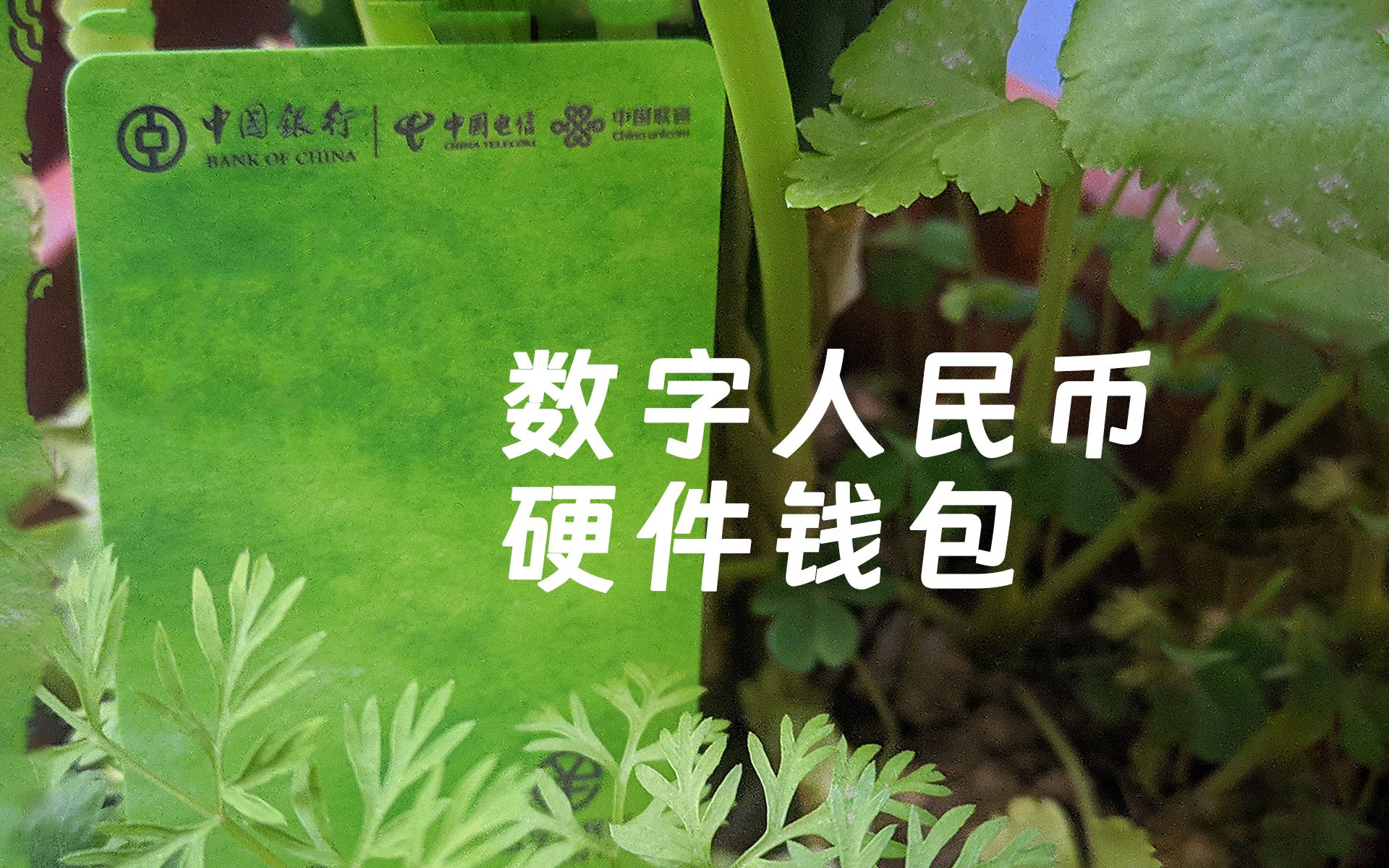 币最新消息与新闻_币最新消息与价格_ftt币最新消息