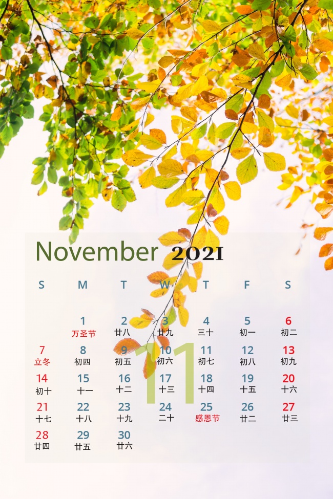 日历表2021日历全年图片_2021日历表全年表_日历表全年