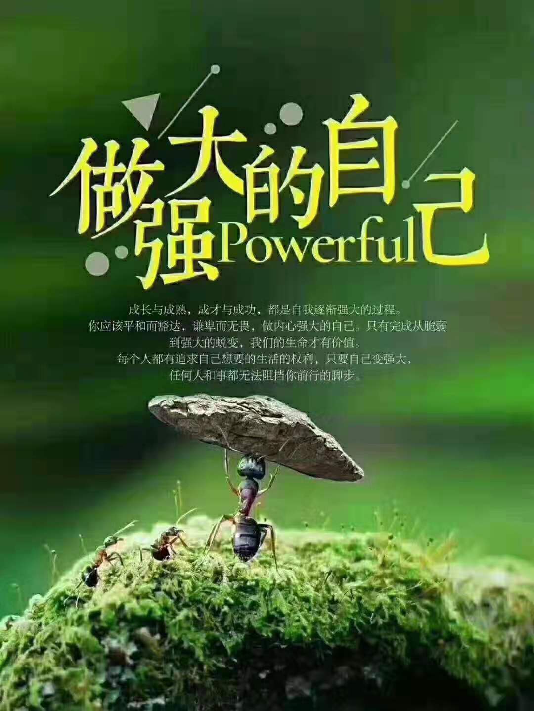 雨生龙之介_雨声龙之介_雨生龙之介的英灵是谁