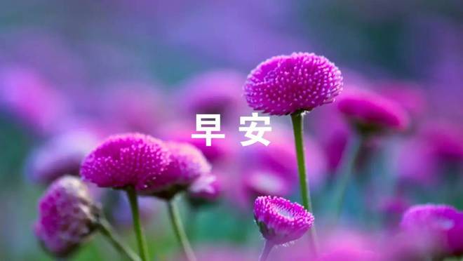 手语易如反掌_手语易下载_易手语