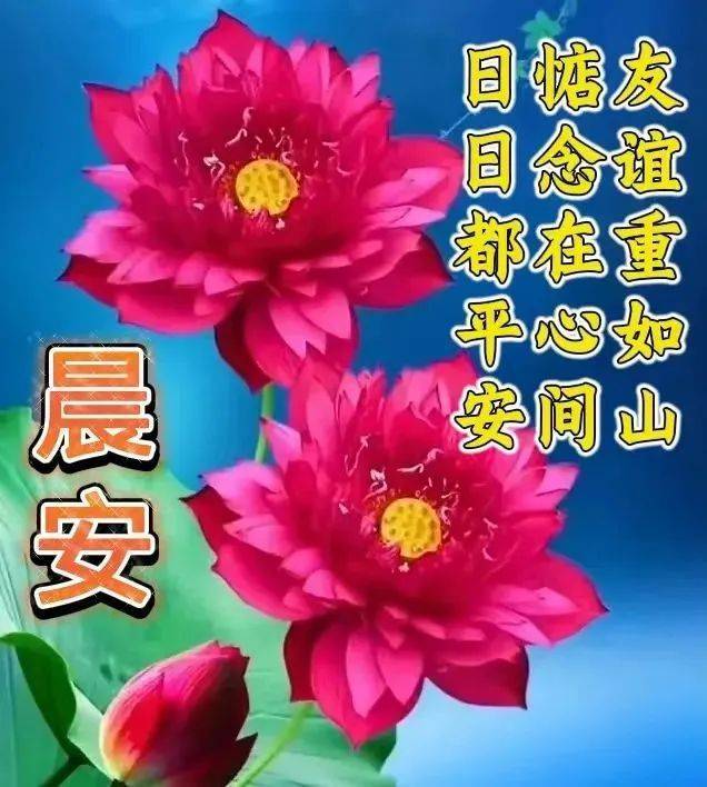 操鸡：释放自我，拥抱生活的独特夜生活方式