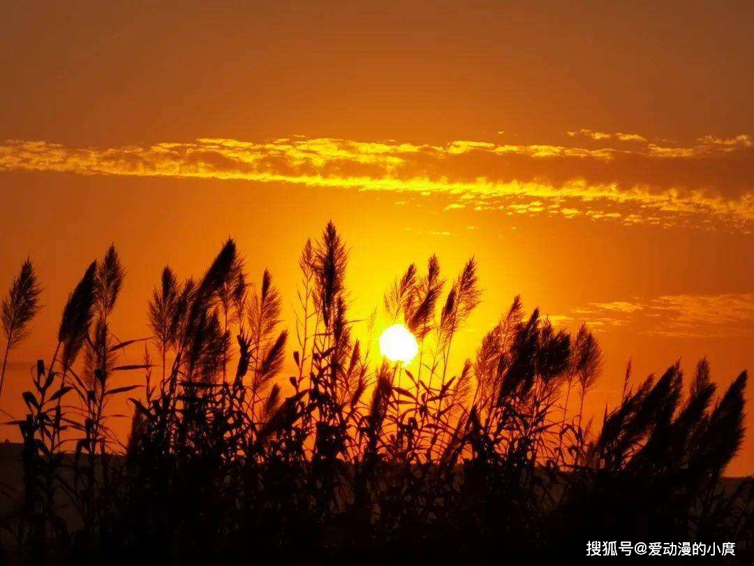 赤夜萌香_主角是赤夜萌香_赤夜萌香壁纸超清