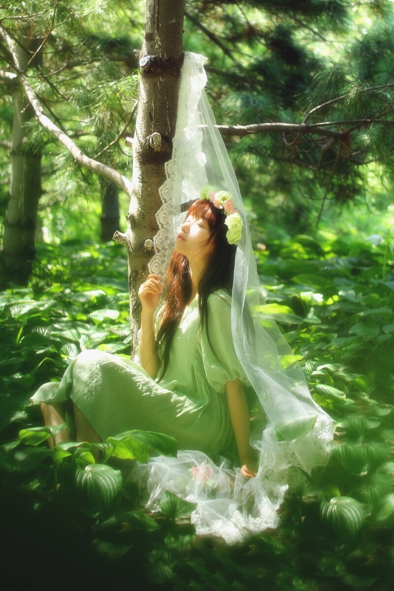 梦里春闺人好看吗_春闺梦里人电视剧_春闺梦里人小说结局
