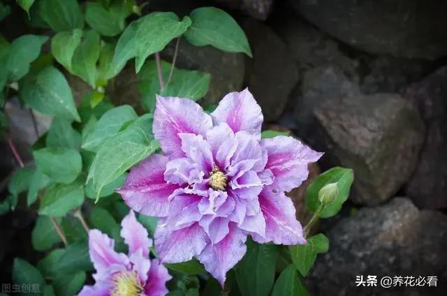 钱币走势图_钱包图解_Tp钱包怎么样看走势图