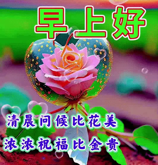 骰子表情微信包图片_微信骰子表情包_骰子表情微信