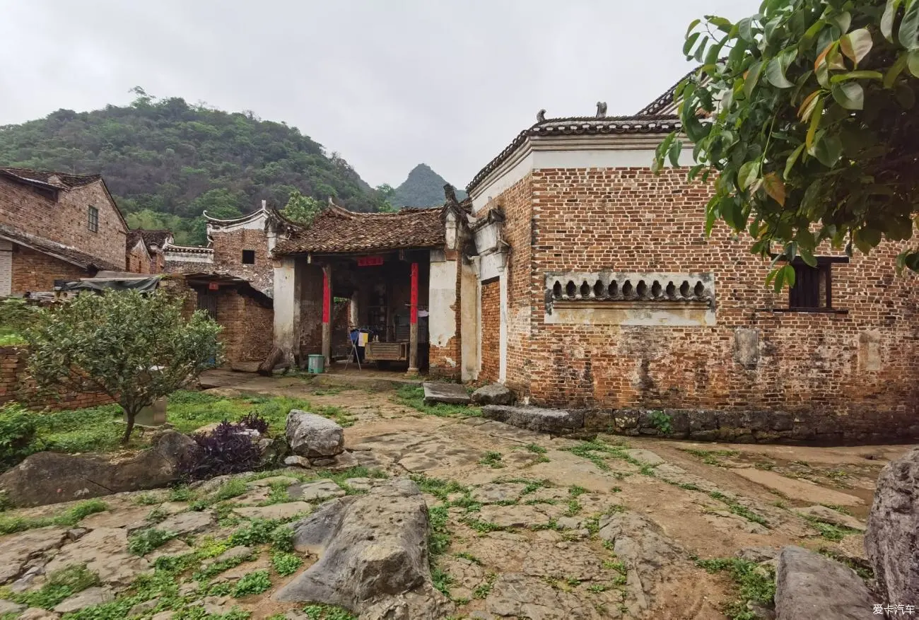 路西德_西德路易一家_西德路什么意思