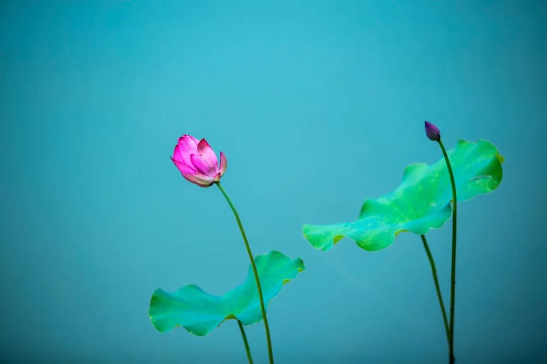 静读天下高级增强版_静读天下专业版免费下载_静读天下专业版