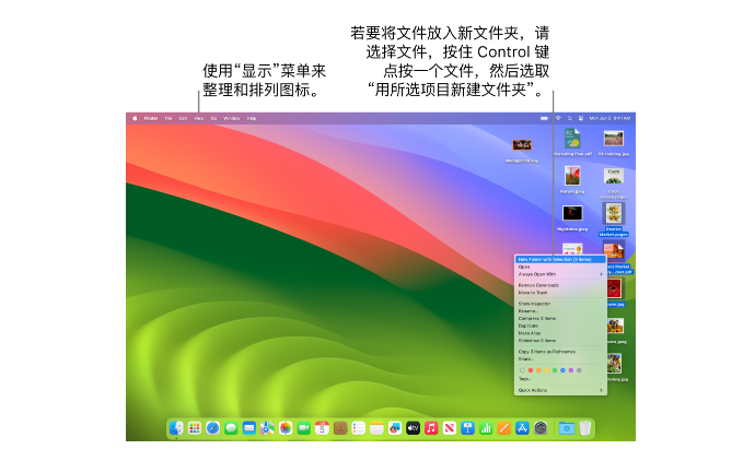 操作常见系统类型_常见的系统操作_常见的操作系统
