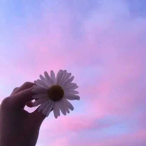 久爱影视_久爱影视_久爱影视