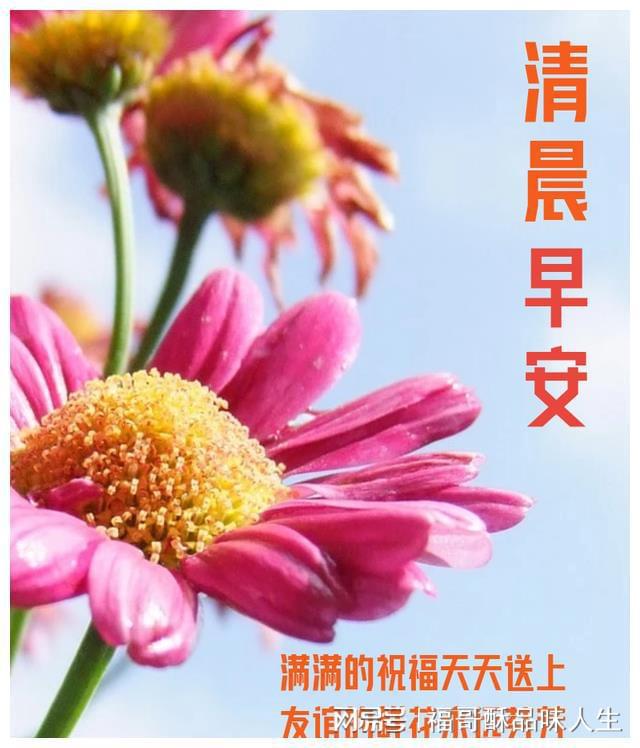 杰洛士：阳光午后的心动相遇，美好时光短暂而深刻