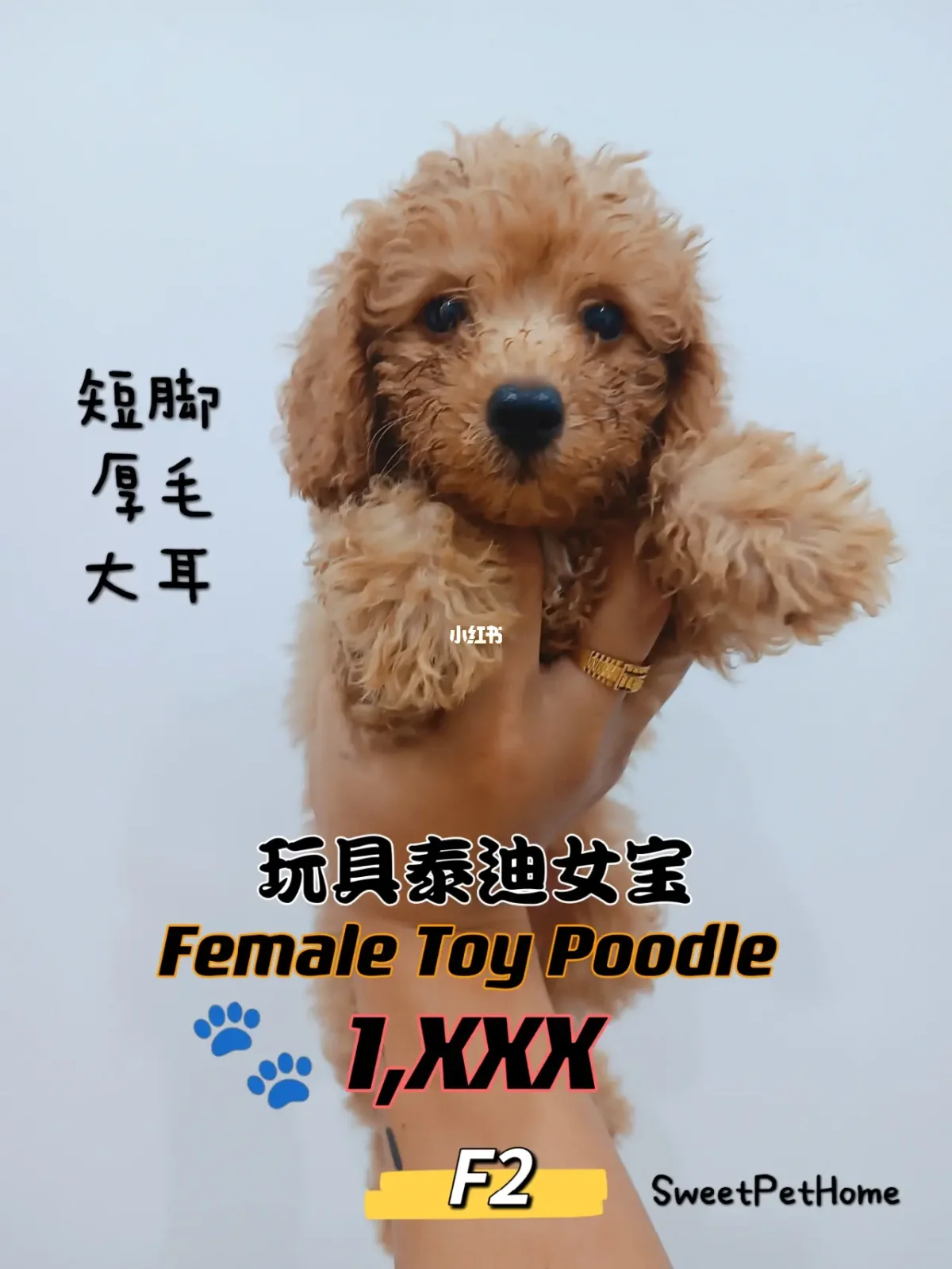 好友加罗内读书笔记_whatsapp怎么加好友_好友加入微信运动会提醒吗