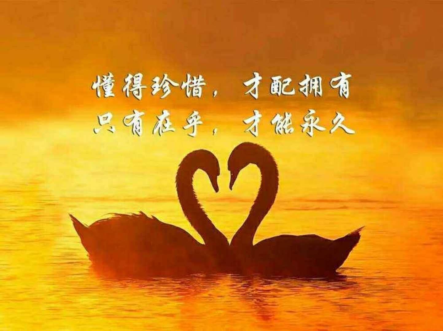 鸟海浩辅：用声音演绎情感盛宴，触动人心的魅力所在