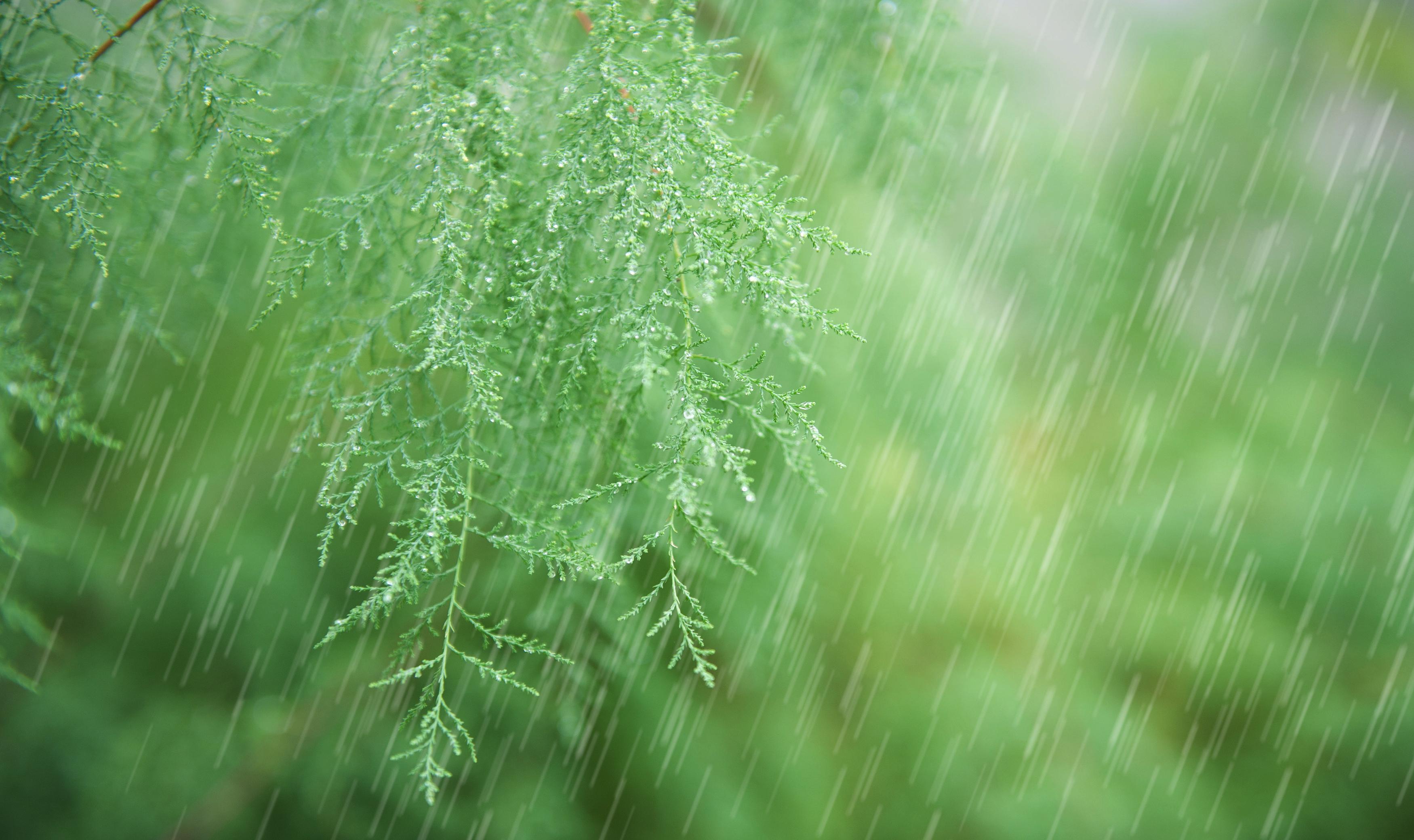 天气预报梅雨季节_梅雨天气_梅雨天气状况