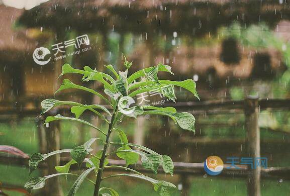 梅雨天气状况_梅雨天气_天气预报梅雨季节
