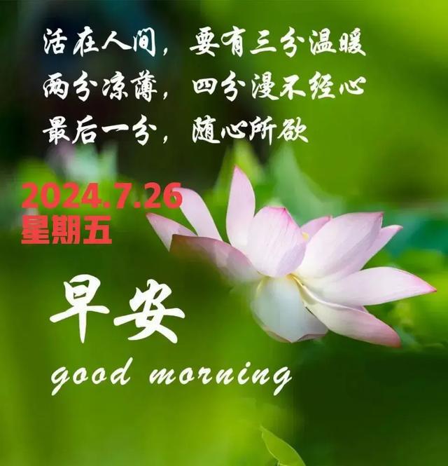 节日查询_今天什么节日查询_今天是佛教什么节日查询