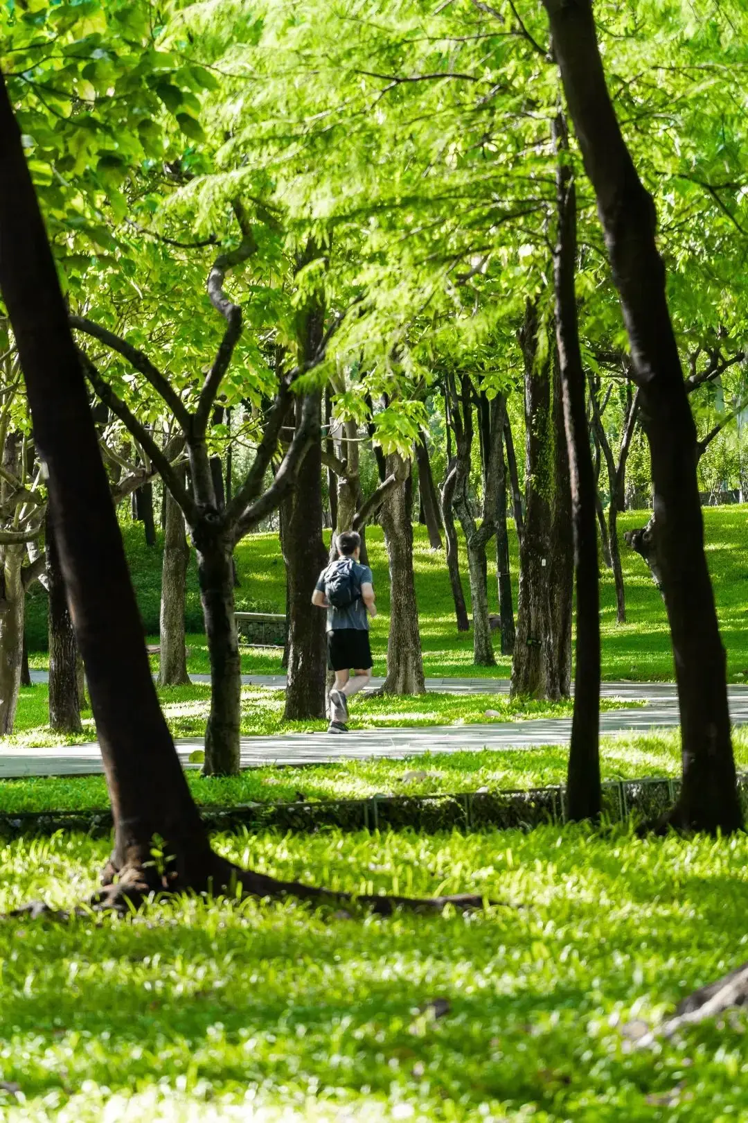 今天是佛教什么节日查询_节日查询_今天什么节日查询