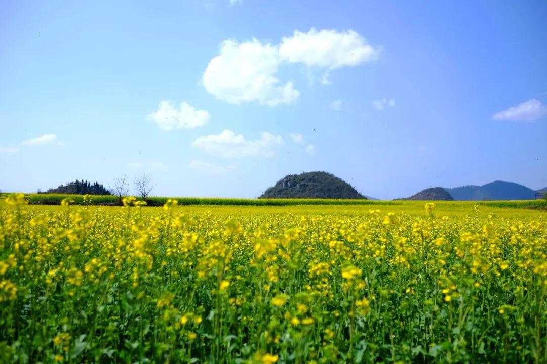 樱坂雫生日_樱坂雫_樱坂