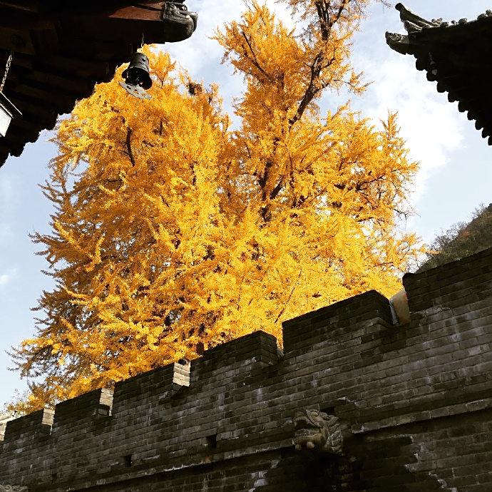 qq彩签怎么管理-QQ 彩签：方便还是灾难？用户吐槽其占地方、自作主张、推送频繁