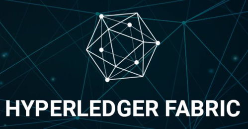 fabric区块链,企业级区块链平台架构与特性解析