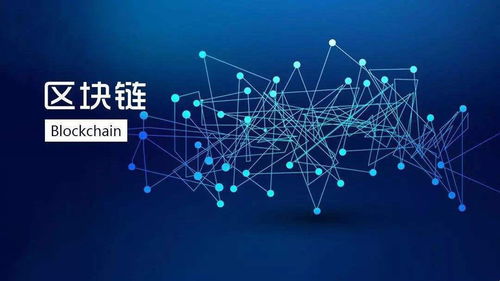 区块链与数字经济,构建信任与创新的未来基石
