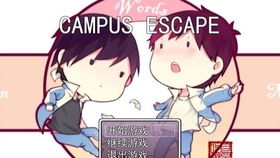 瓶邪网游,探寻神秘古墓的奇幻冒险之旅